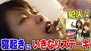 寝起きで“いきなりステーキ”何度も食べさせるドッキリ 【無限寝起きいきなりステーキドッキリ】