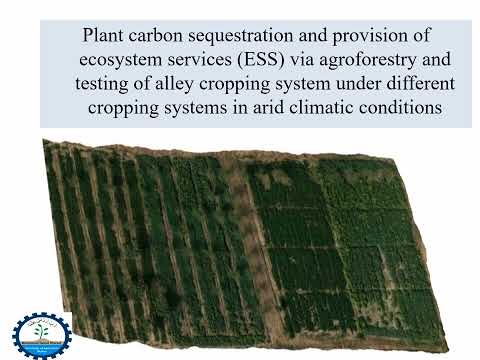 IGGA 2023 Muhammad Nawaz Shareef University of Agriculture Multan IGGA23045 2030 CLIMATE ACTION Carb