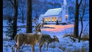 Silent Night, Sleep in Heavenly Peace