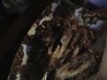 The Saga Of Hot Ass Wings