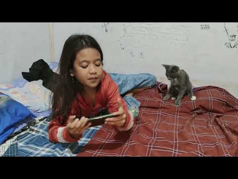 KUCING SEKAR LUCU SEKALI