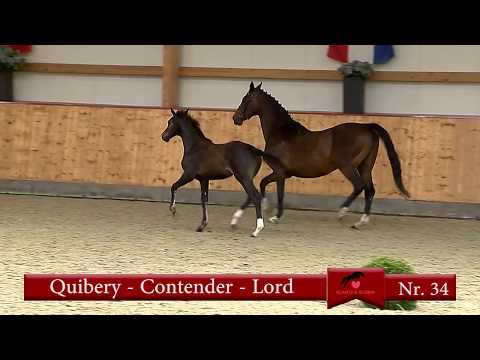 34. Quibery - Contender