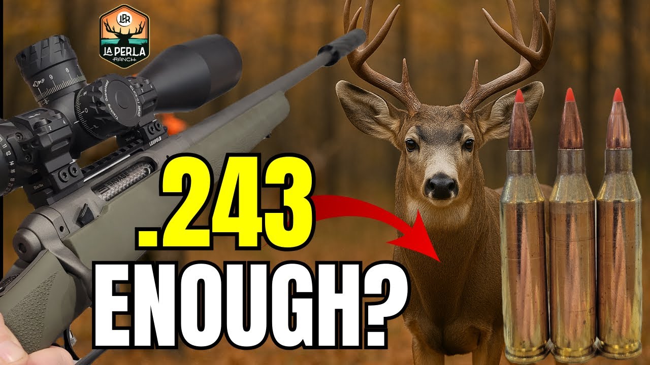 .243 vs DEER (Real Hunt Footage) @LaPerlaRanch LA Perla Ranch