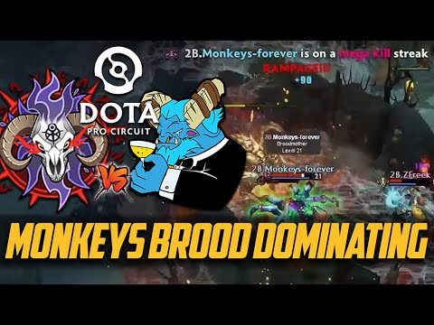 How monkeys-forever went on a RAMPAGE vs. Arkosh Gaming! (Highlights)