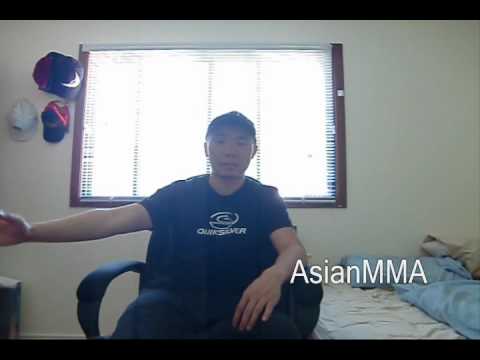 Roy Nelson vs Junior Dos Santos