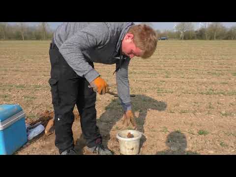 Erfolgskontrolle mittels Nitrat Tiefensondierung