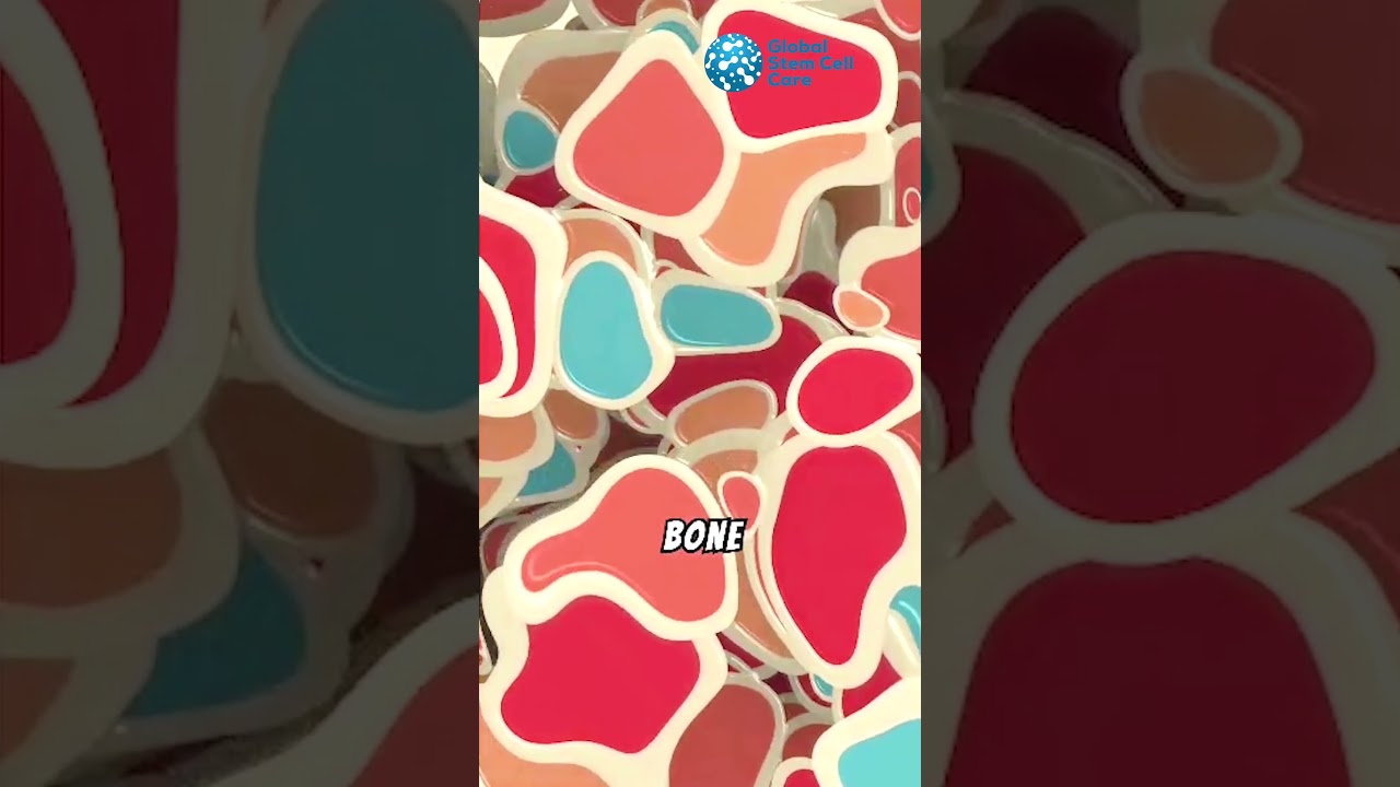 Understanding Female Infertility: Causes and Solutions | Female Infertility | Infertility Treatment