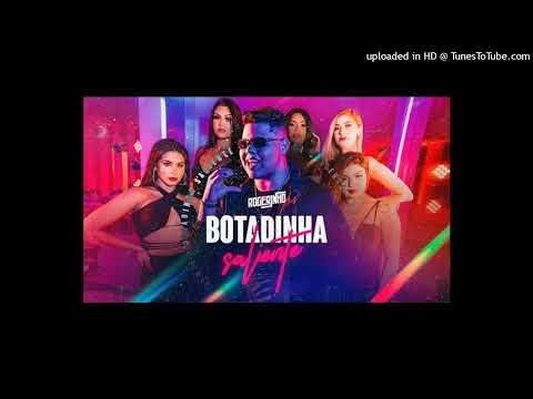 BOTADINHA SALIENTE - ROGERINHO