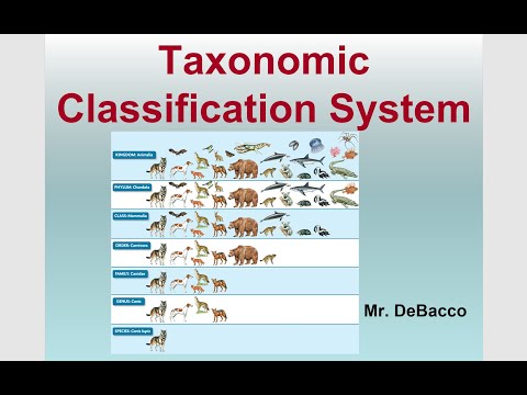Taxonomic Classification