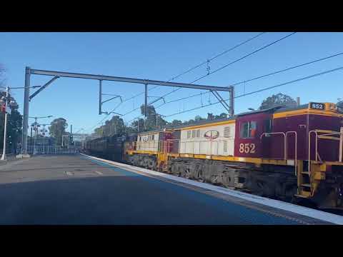 852, 4836 and 4702 - Toongabbie