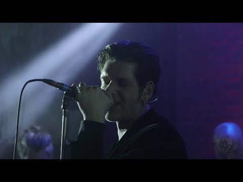 Golden Apes live at Supersonic Paris 2022