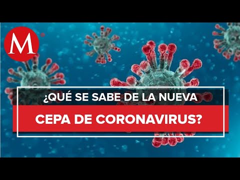 ¿Qué es lo que se sabe de la nueva cepa covid-19, y cómo lo retoma el sector medico en el mundo?