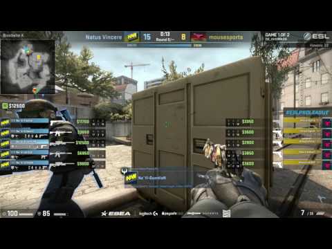 Guardian ACE Overpass