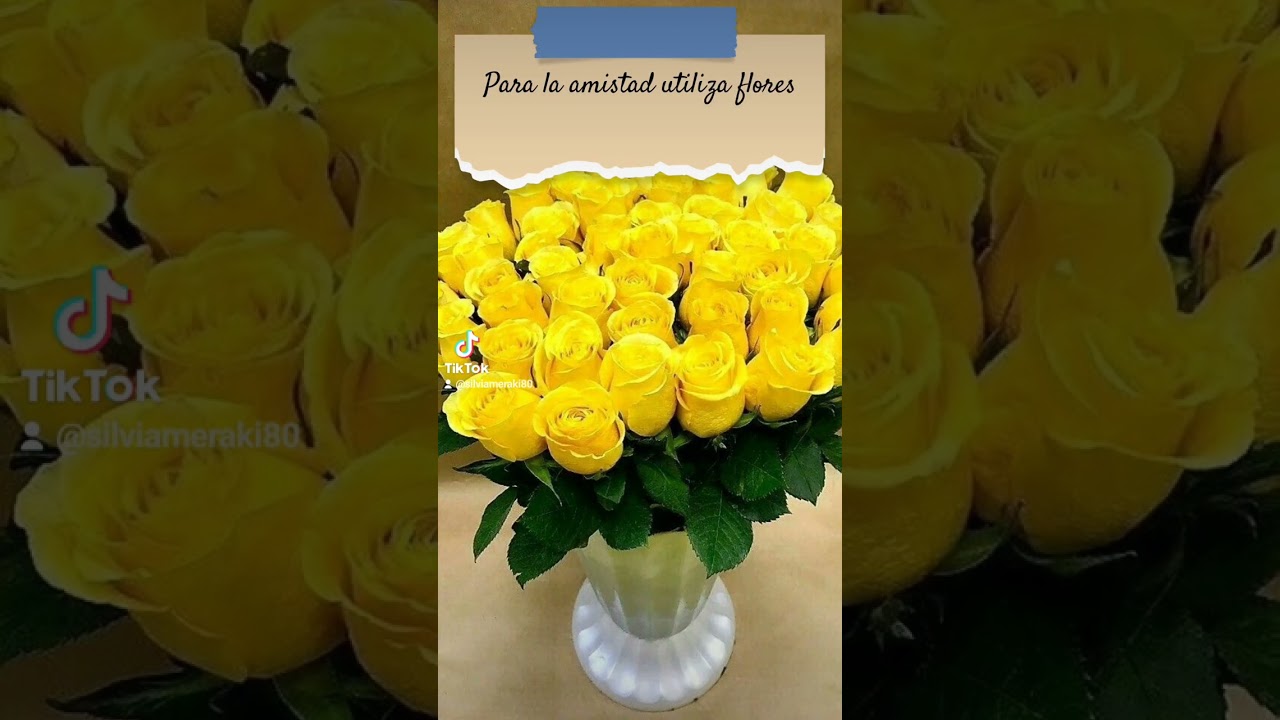 #brujitips. Rosas para la amistad