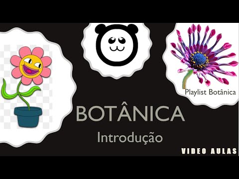 Botânica (Reino Plantae) - Introdução