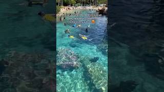 BEST DAY EVER 🤩 Discovery Cove  (Orlando’s All-Inclusive Day Resort)
