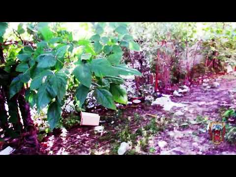 Db x Jaay Jaay buckz x Fn boogie - Outside (Official Music Video)