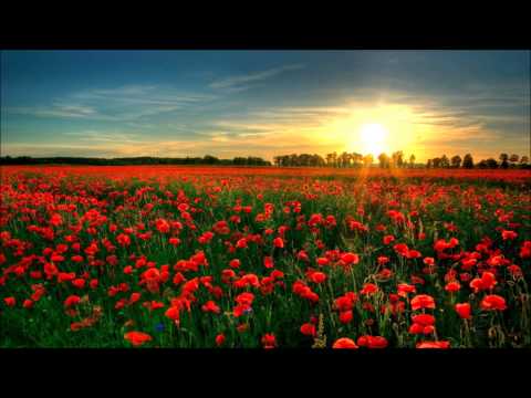 Benjamin Francis Leftwich - Stole You Away