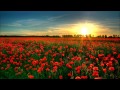 Benjamin Francis Leftwich - Stole You Away