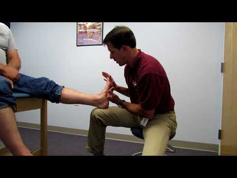 Metatarsalgia and Morton s Neuroma Evaluation and Treatment