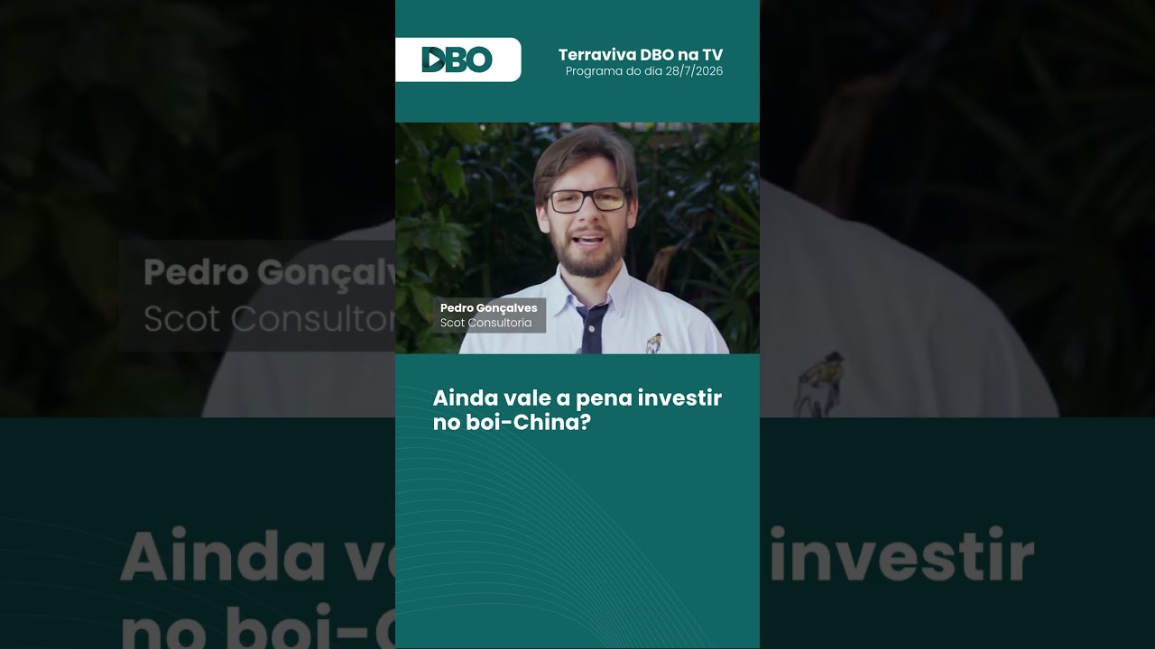 Ainda vale a pena investir no boi-China? #boigordo