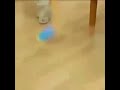 Wow Cup Spill Free