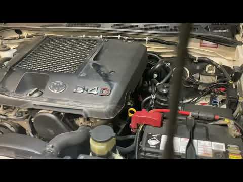 Dpf DELETE & Egr DELETE Explained