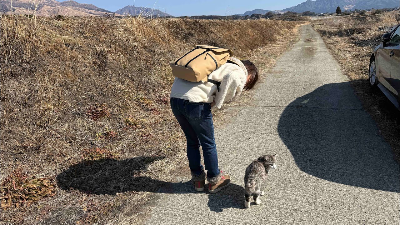 旅猫ニャン吉、スウェーデン🇸🇪のバック、ガストンルーガとパトロール😸