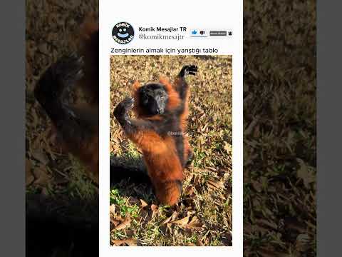 Kimseyi takmadığımda böyle görünüyorum