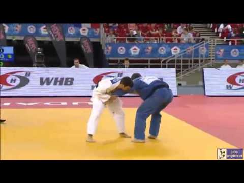 Judo 2014 Grand Prix Budapest: Scvortov (UAE) - Sedmidubsky (CZE) [-73kg]