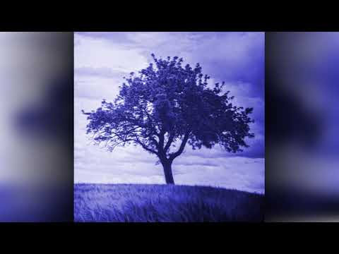 Iboriel - Fajerwerki feat. Doma (git. Gregory) [bonus #2] | #SIERPIEŃ