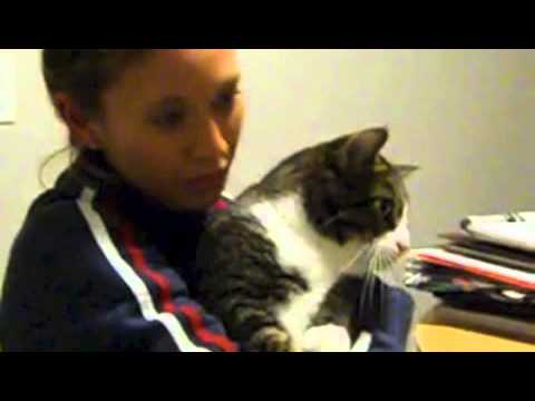 Liana meets Ruskie the cat