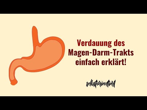 Verdauung der Nahrung im Magen-Darm-Trakt - Dünndarm | Magen | Physiologie | Reihenfolge | Anregen