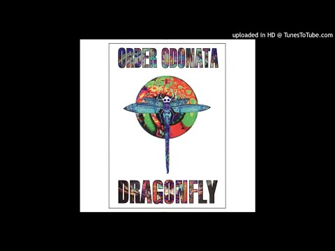 01. Space Tribe - Geo Matrix