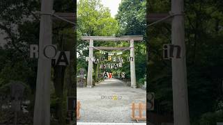 Download lagu The magic of Miyazaki - Japan Road Trip day 18 mp3