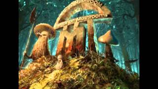 Infected Mushroom - Trance Party (Original Mix)