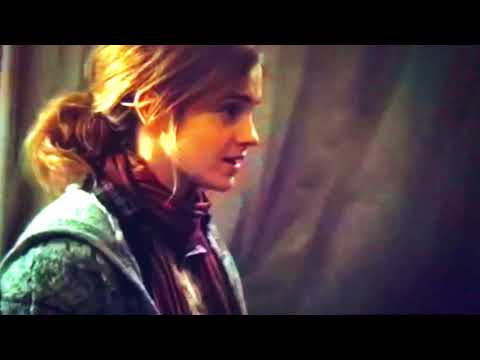 Harry Potter Hermione and Ron’s argument lion king style