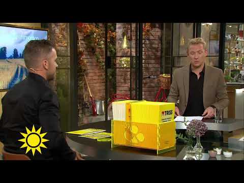 Tursiffrorna tog Fredrik till Nyhetsmorgon – och gjorde honom till miljonär - Nyhetsmorgon (TV4)