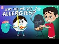 Why Do We Get Allergies? | The Dr. Binocs Show | Best Learning Videos For Kids | Peekaboo Kidz
