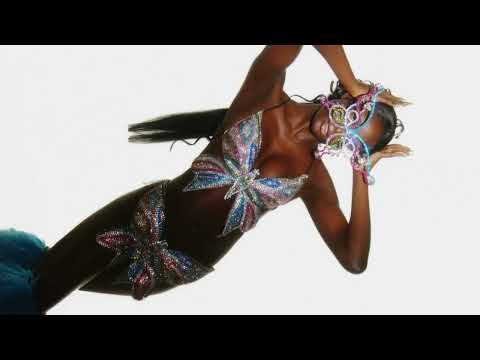 AREA Embroidered Crystal Butterfly Top