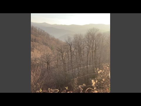 мысли в голове