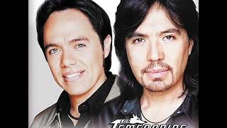 Los temerarios - esos amores