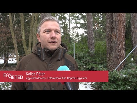 Egyheted – közéleti magazin – 2025.01.15.– Csütörtök