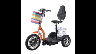 500W Zappy 3 Electric Scooter 48V 20Ah Battery Motorcycle