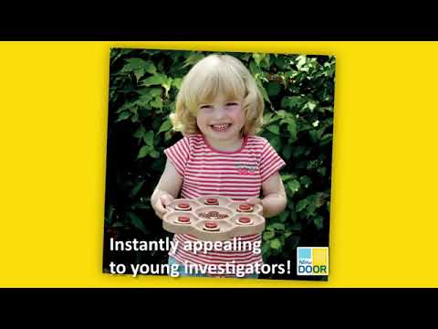 Slide 6 - Natural Flower Tray (video)