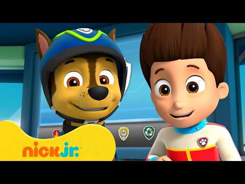 Paw Patrol | Misión del Castor, Rescate en la Casita & Más! 🦫🌳 | Nick Jr. en Español