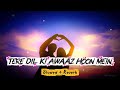 TERE DIL KI AWAAZ HUN MAIN तेरे दिल की आवाज हूँ मैं Lofi Song 