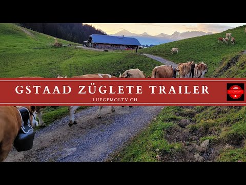 Züglete Gstaad 2021- Alpabzug Gstaad - Trailer - LuegemolTV