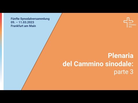 Plenaria del Cammino sinodale: parte 3