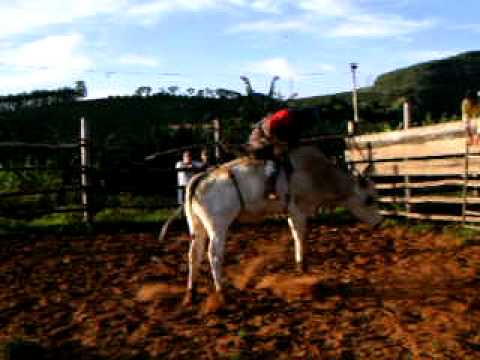 roberlei vs misterio.avi